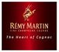 Remy Martin     Louis XIII